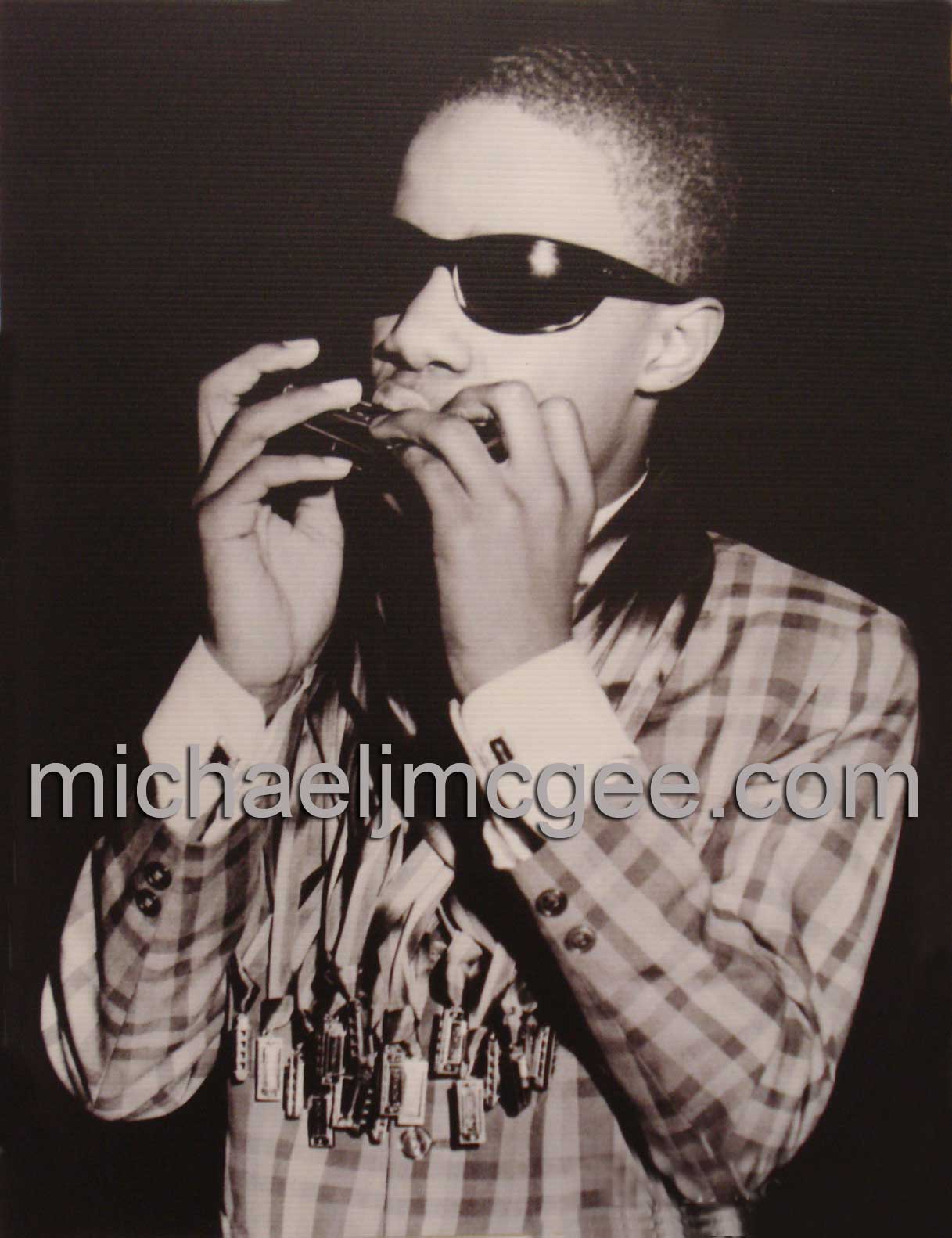 Stevie Wonder / michaeljmcgee.com