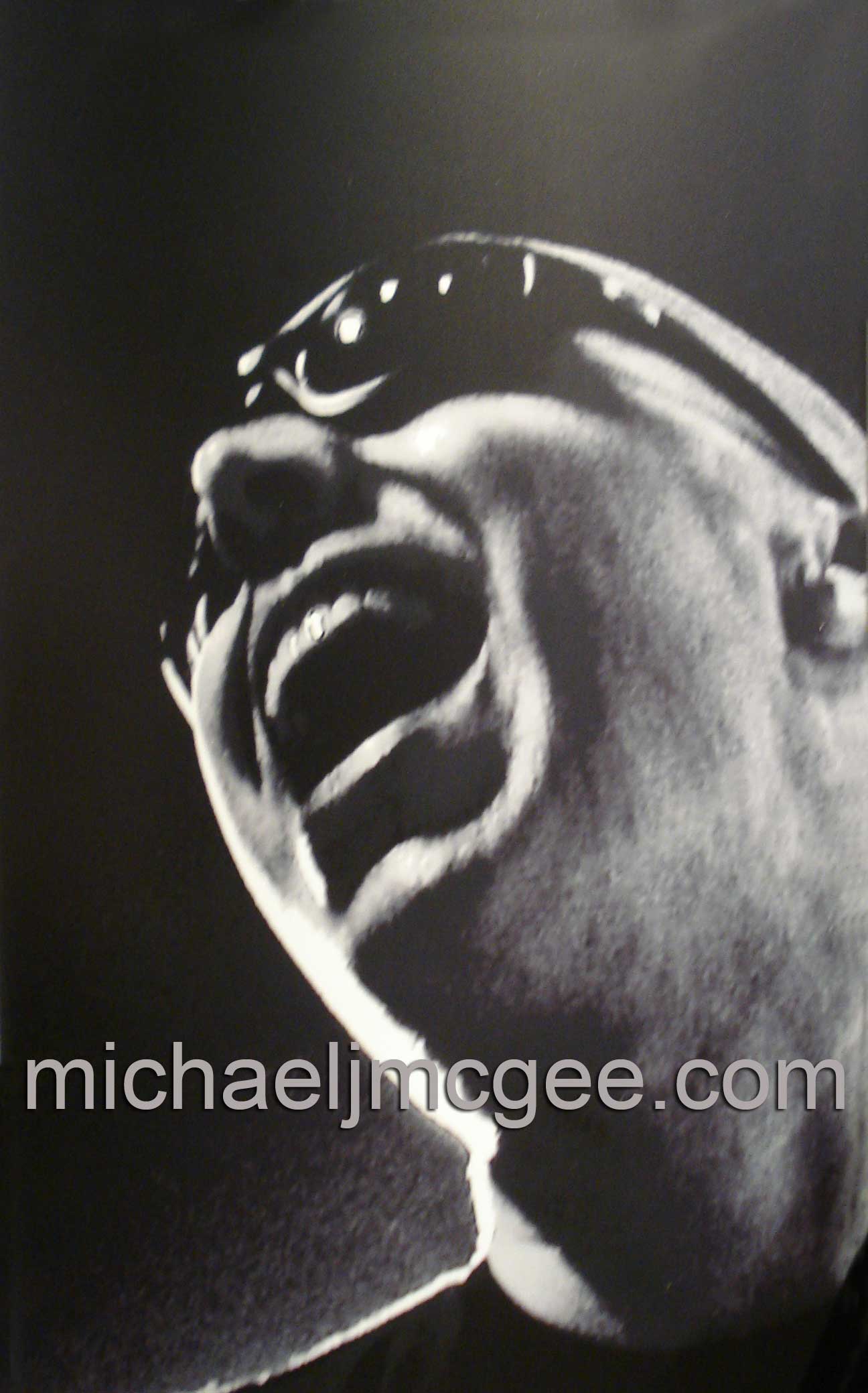 Stevie Wonder / michaeljmcgee.com