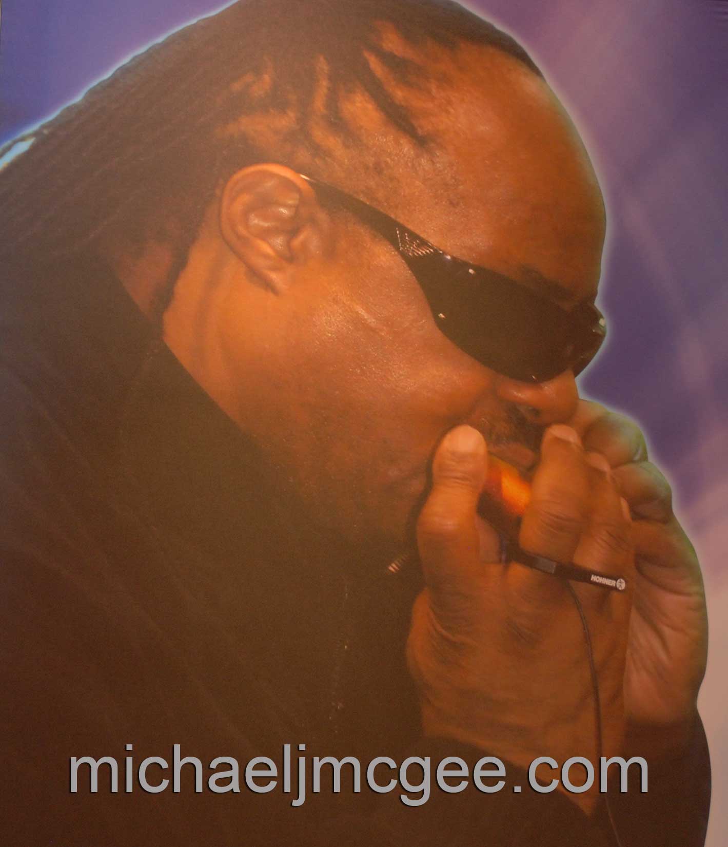 Stevie Wonder / michaeljmcgee.com