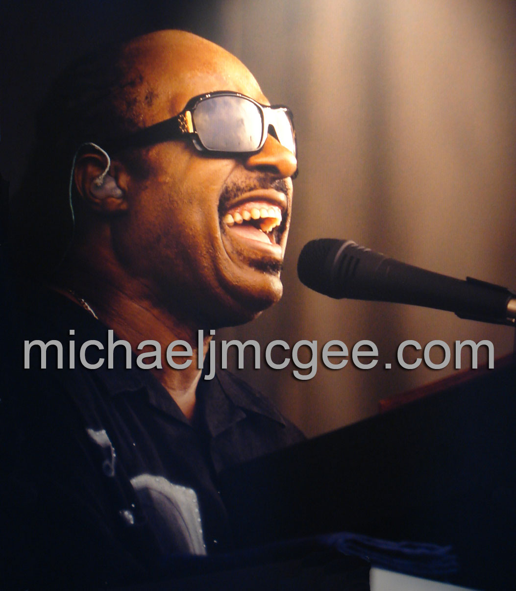 Stevie Wonder / michaeljmcgee.com
