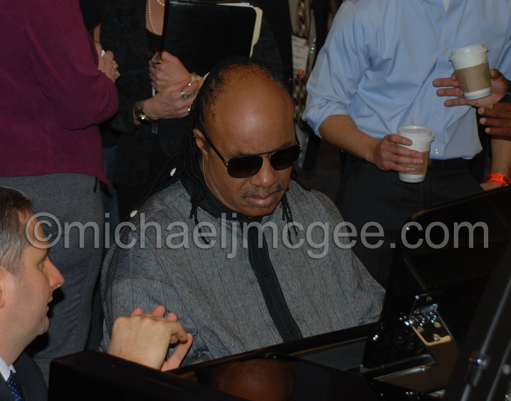 Stevie Wonder / michaeljmcgee.com