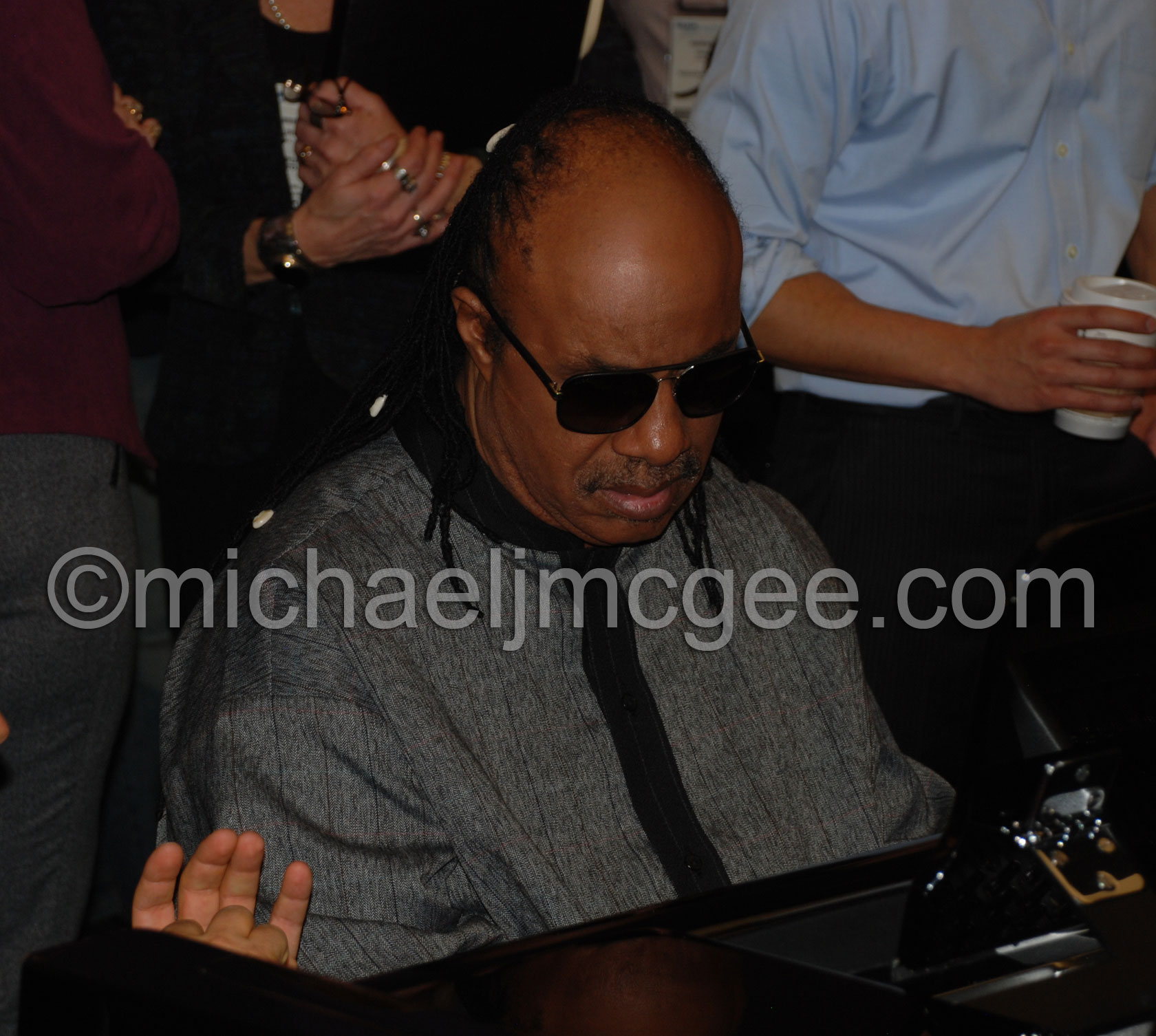 Stevie Wonder / michaeljmcgee.com