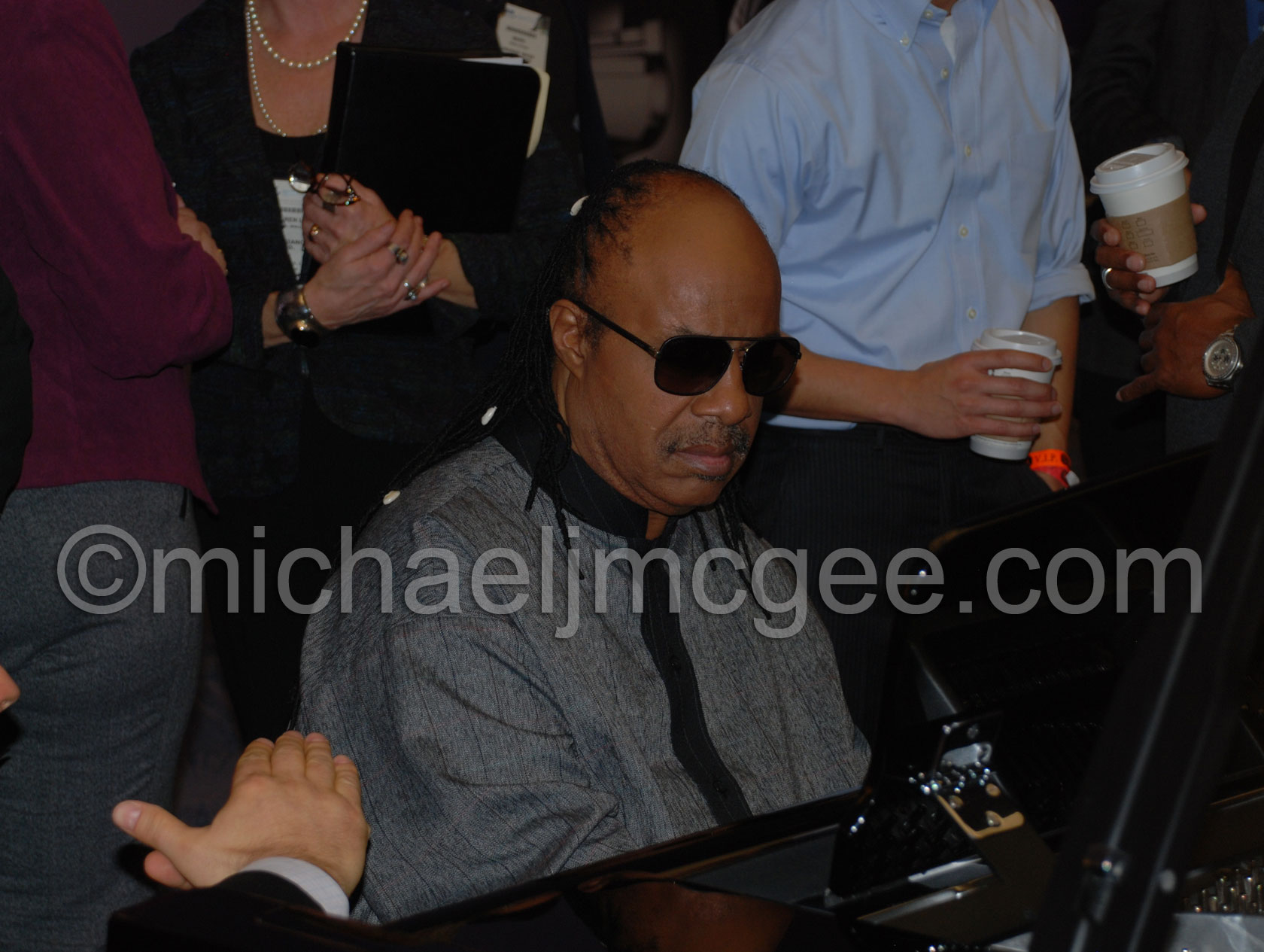 Stevie Wonder / michaeljmcgee.com