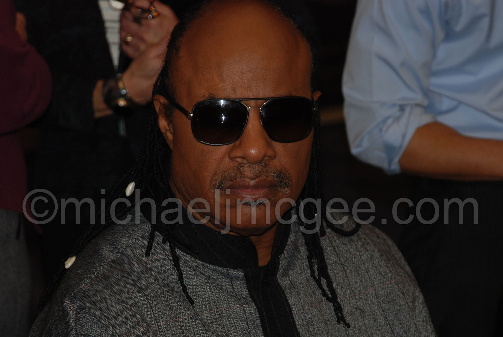 Stevie Wonder / michaeljmcgee.com