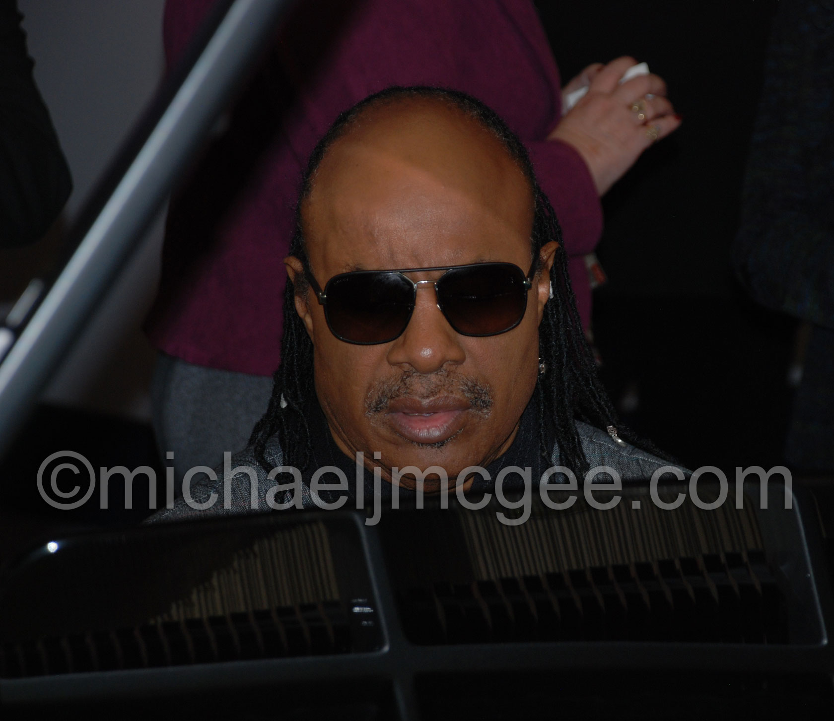 Stevie Wonder / michaeljmcgee.com