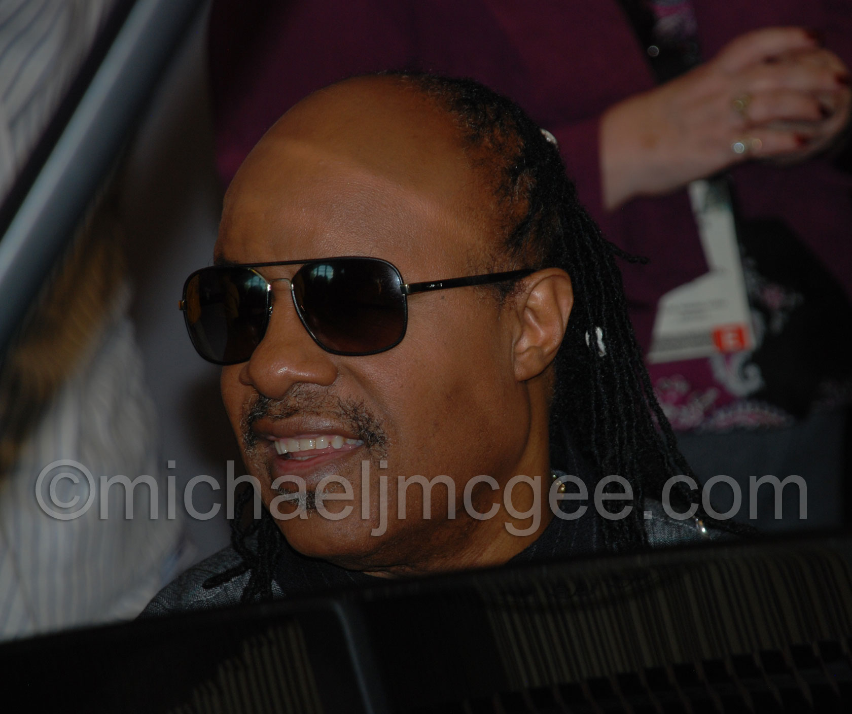 Stevie Wonder / michaeljmcgee.com