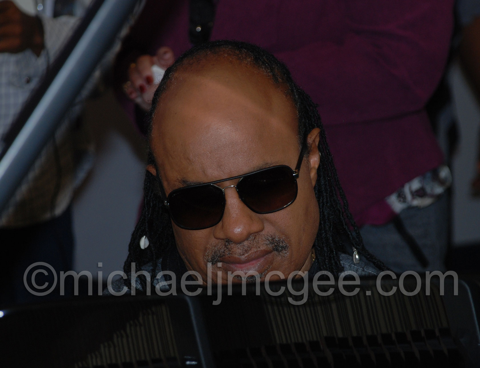 Stevie Wonder / michaeljmcgee.com