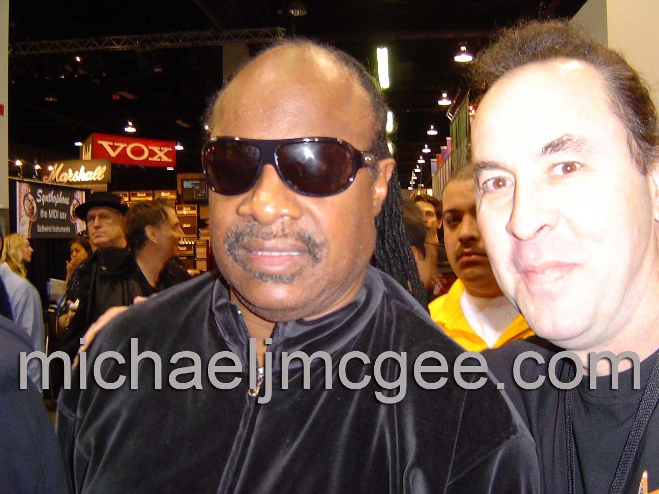 Stevie Wonder / michaeljmcgee.com