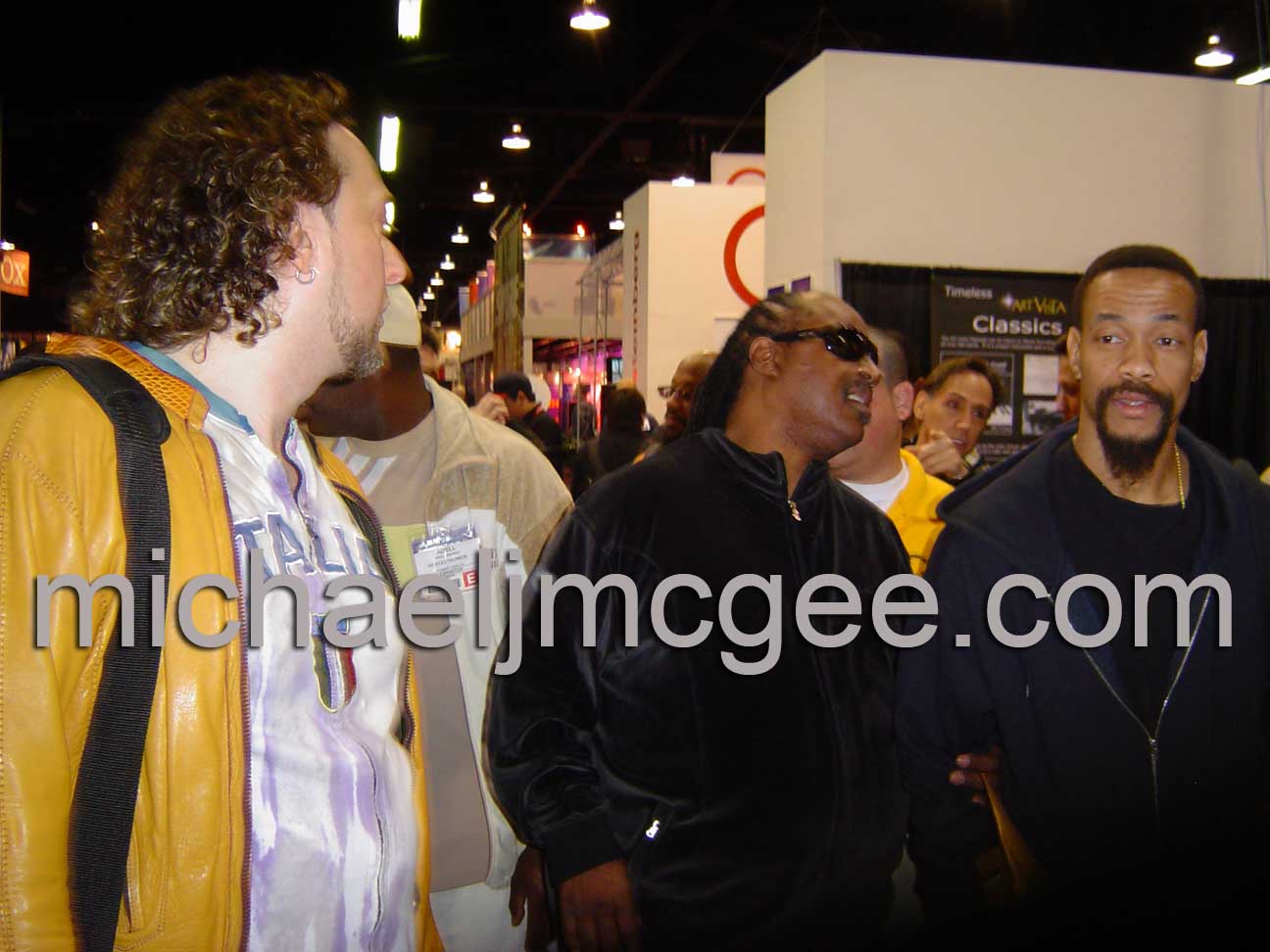 Stevie Wonder / michaeljmcgee.com