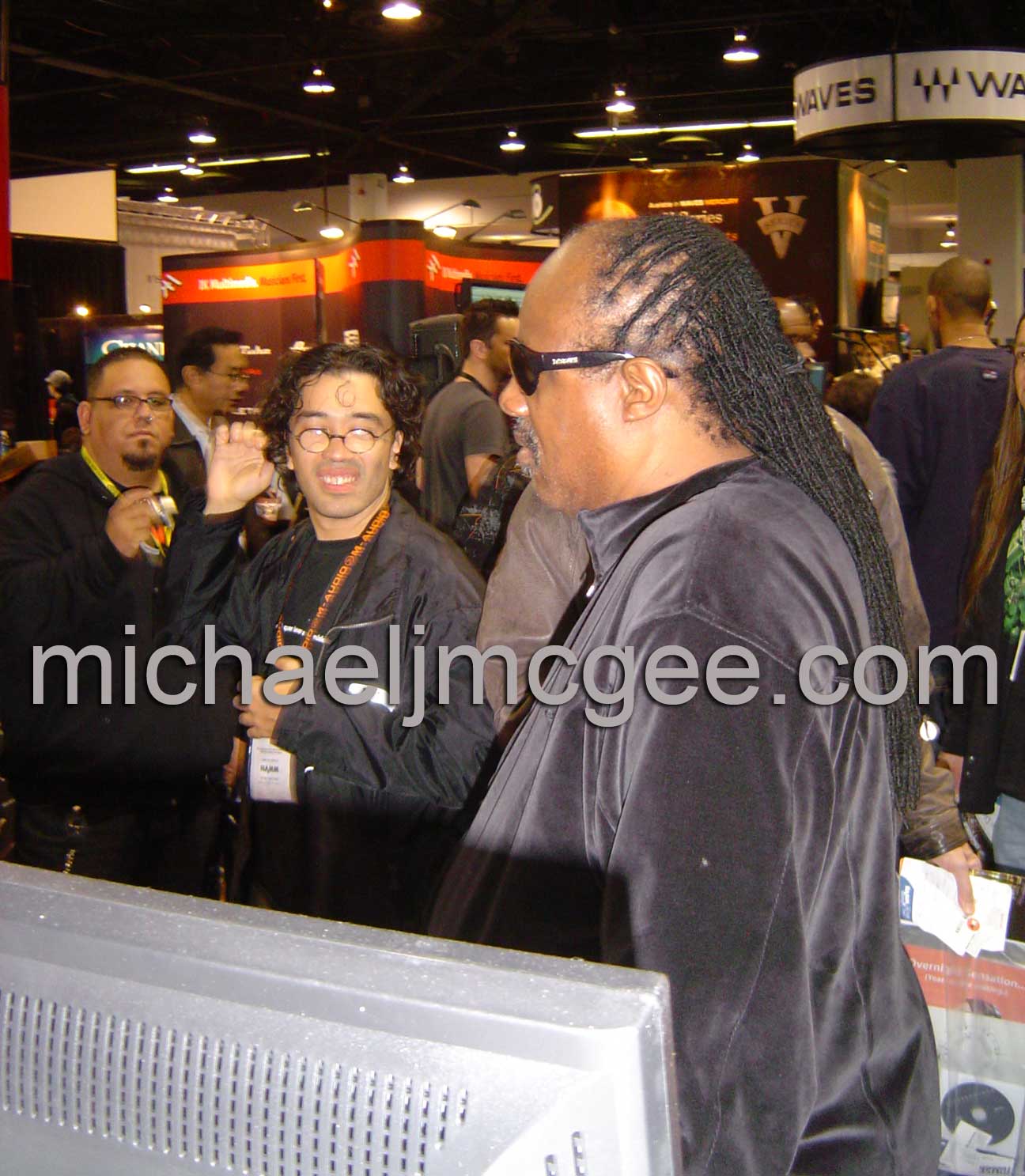 Stevie Wonder / michaeljmcgee.com