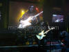 Yngwie J. Malmsteen / michaeljmcgee.com