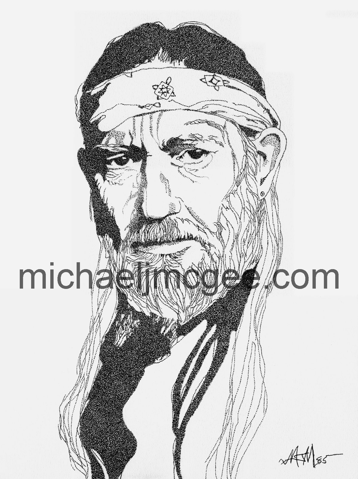 Willie Nelson / MJM Artworks / michaeljmcgee.com