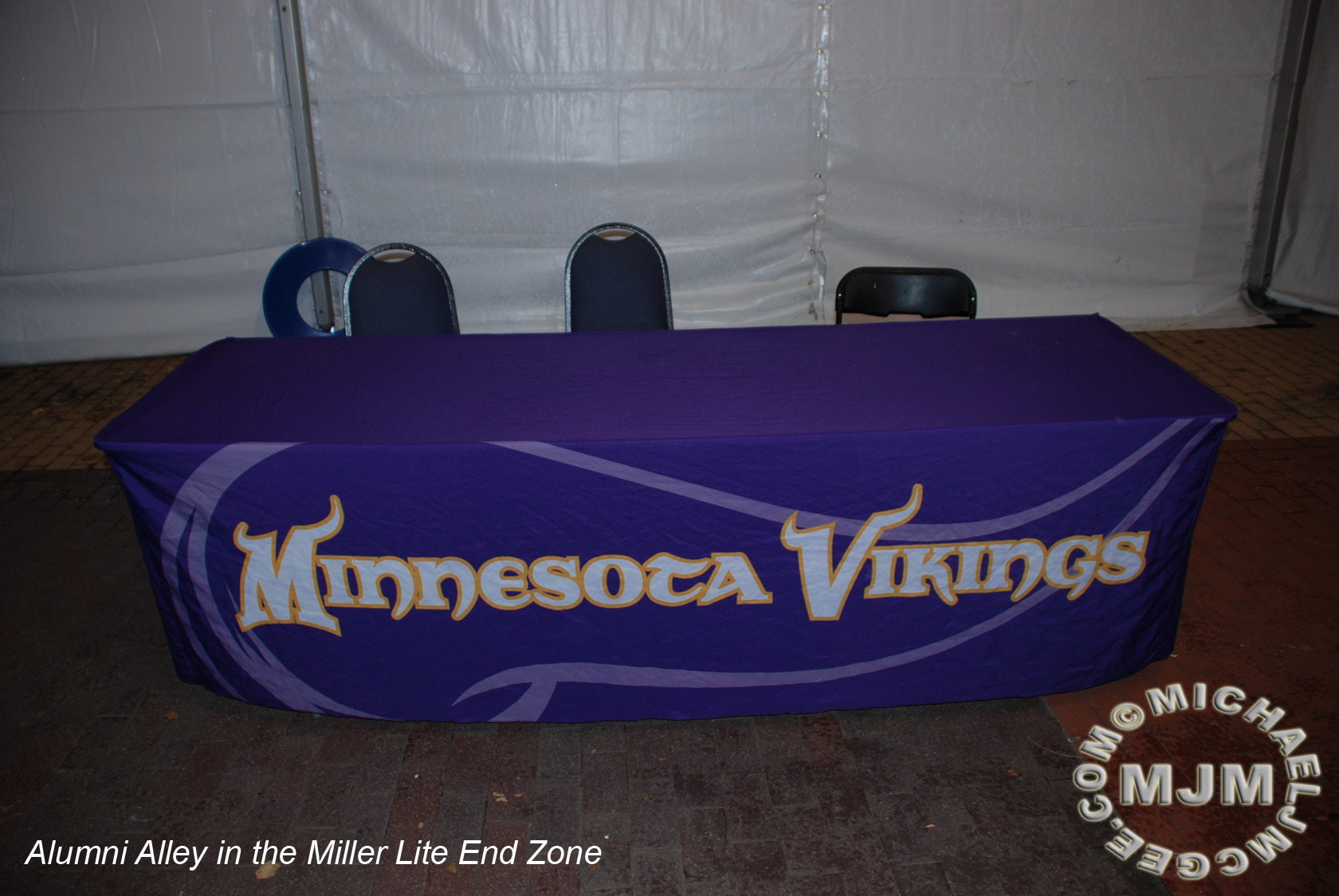 Eagles @ Vikings 12-15-2013 / michaeljmcgee.com