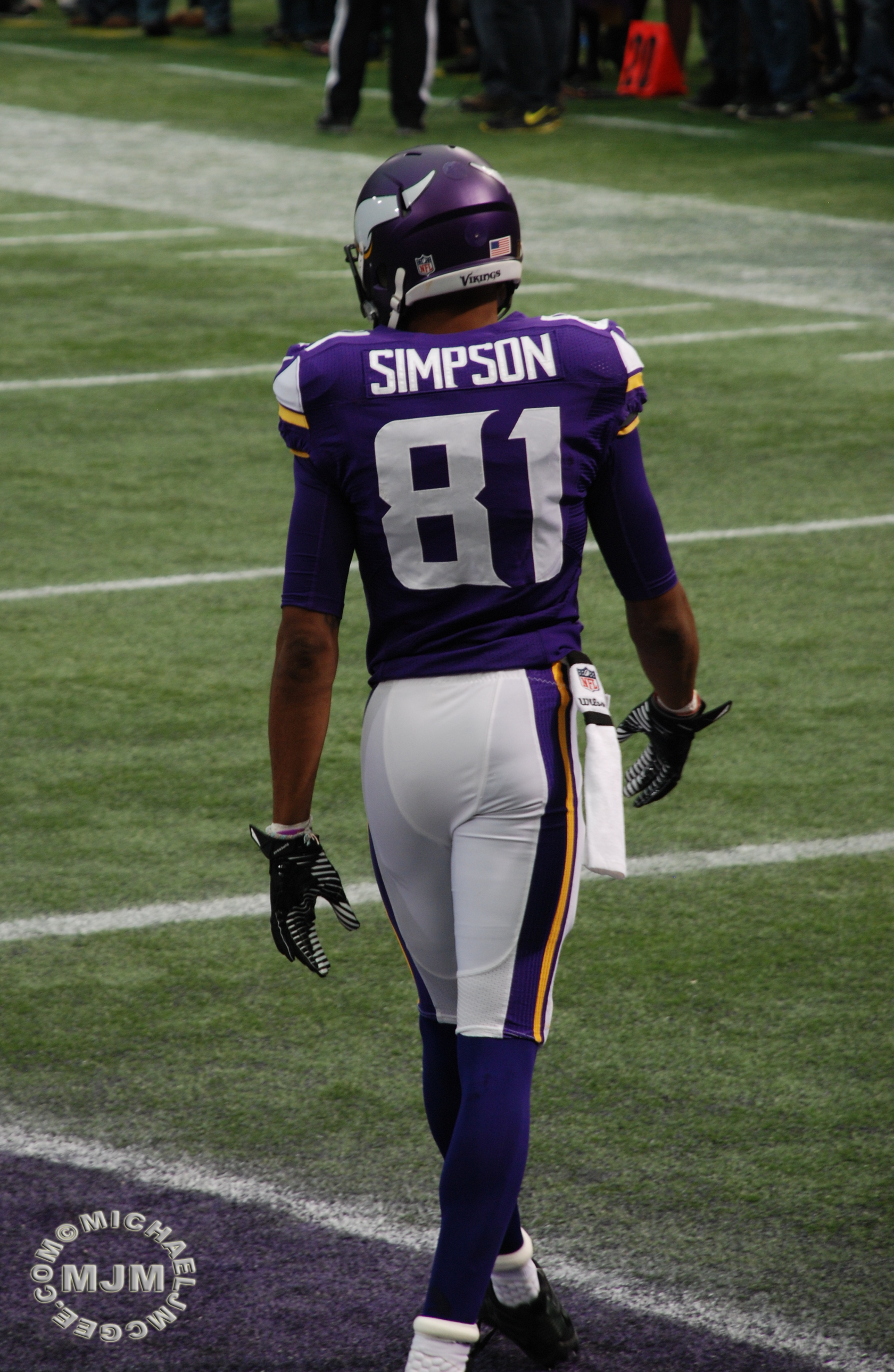 Eagles @ Vikings 12-15-2013 / michaeljmcgee.com