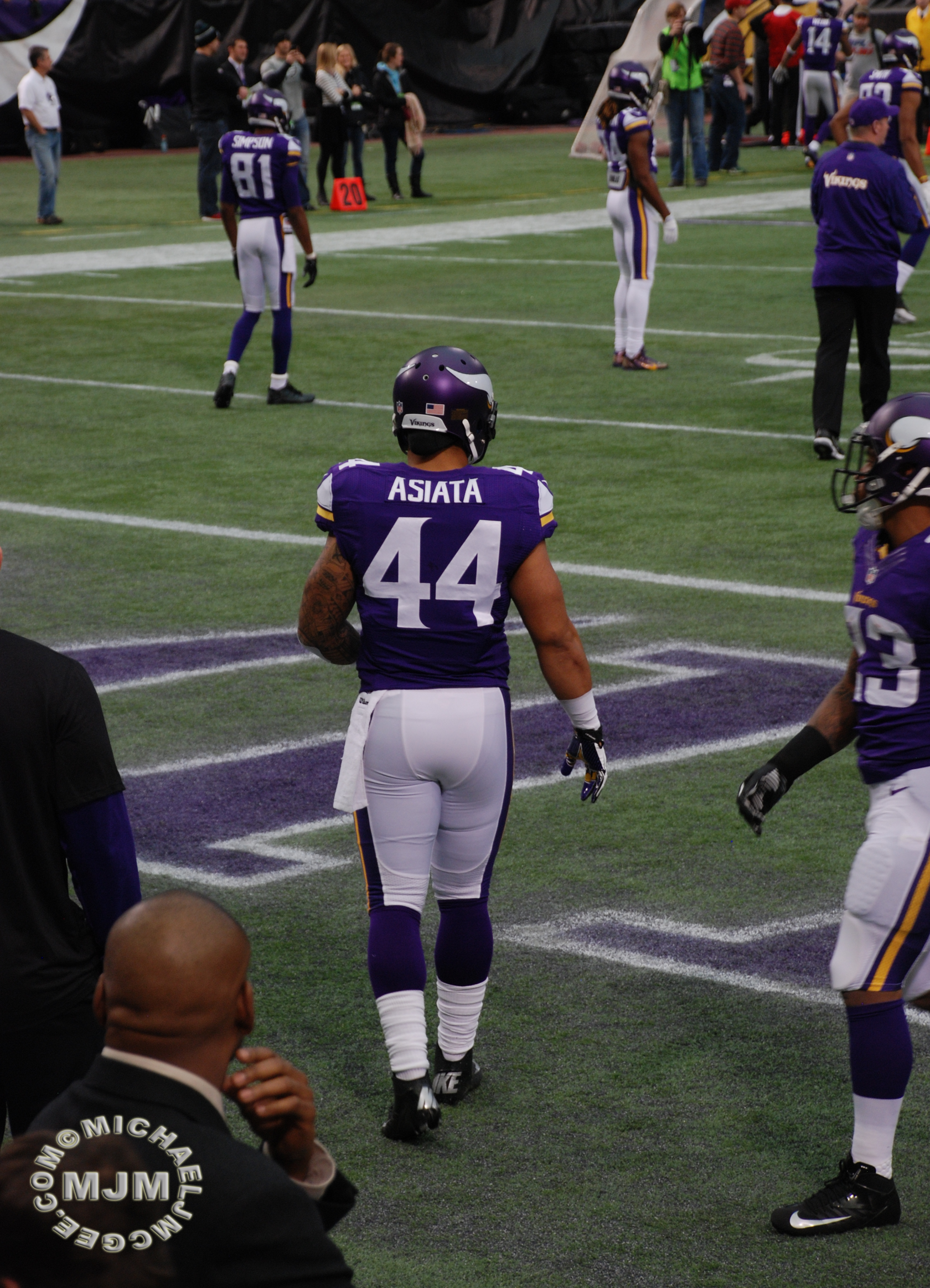 Eagles @ Vikings 12-15-2013 / michaeljmcgee.com