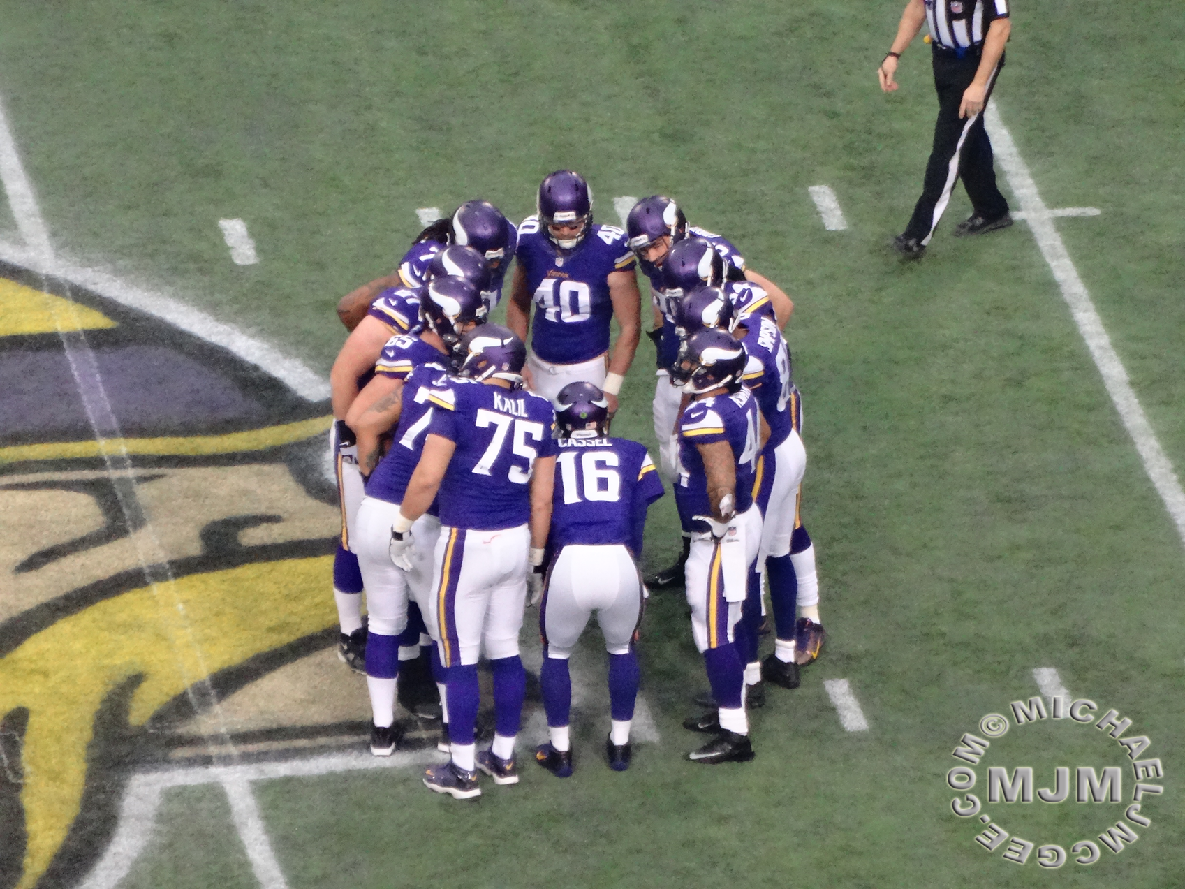 Eagles @ Vikings 12-15-2013 / michaeljmcgee.com