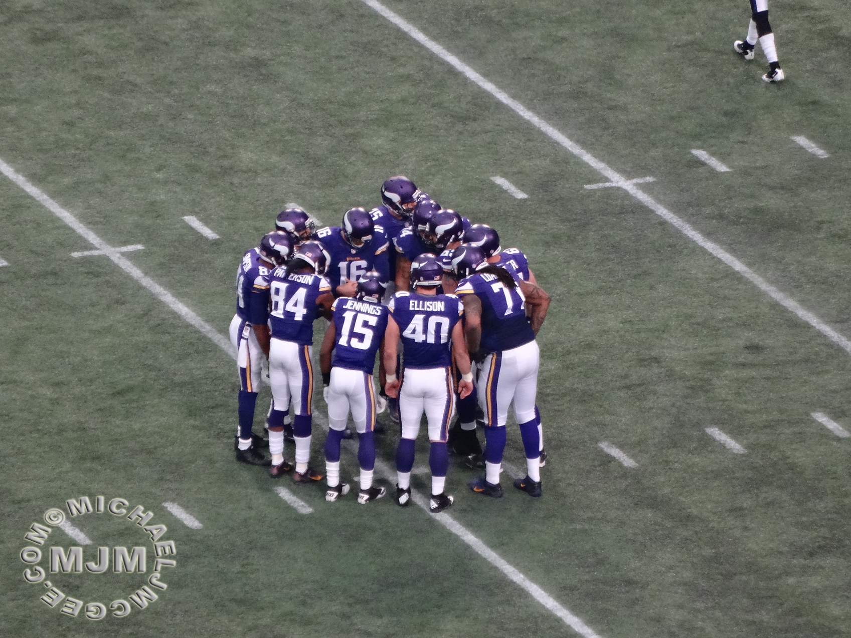 Eagles @ Vikings 12-15-2013 / michaeljmcgee.com