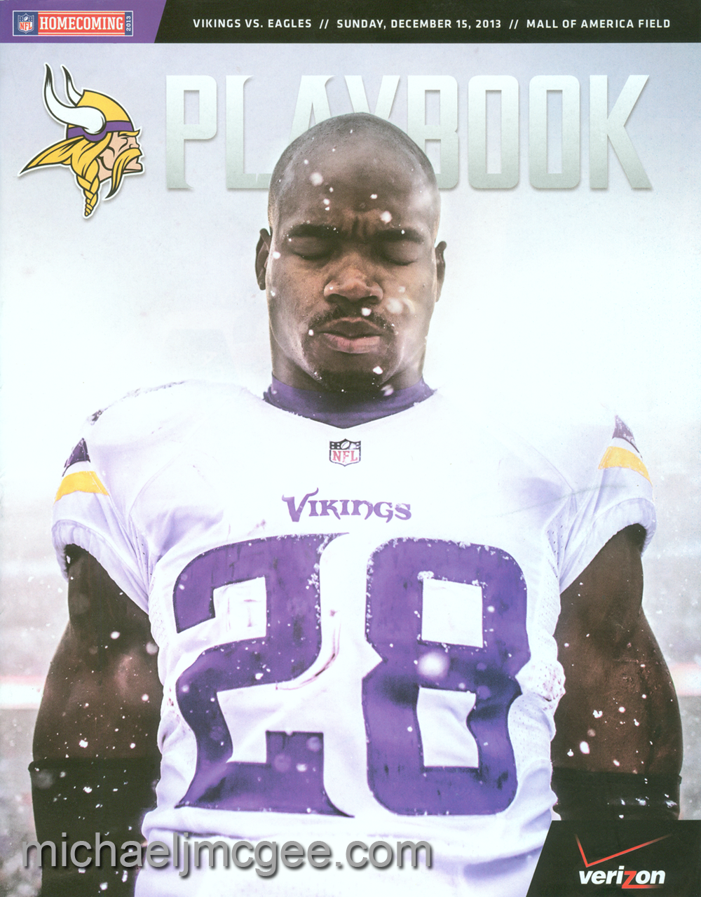 Eagles @ Vikings 12-15-2013 / michaeljmcgee.com