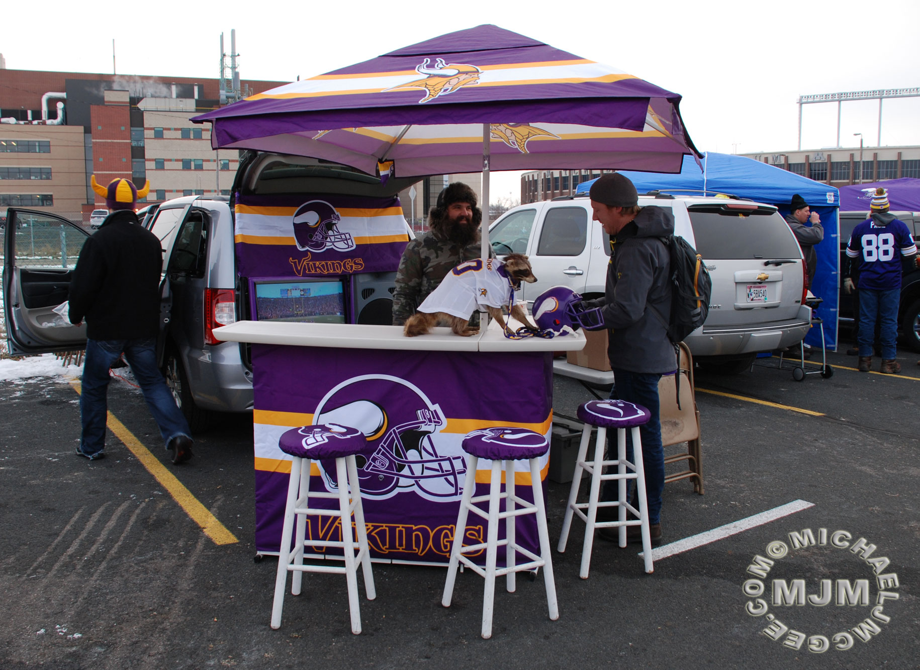 Jets @ Vikings 12/7/2014 / michaeljmcgee.com