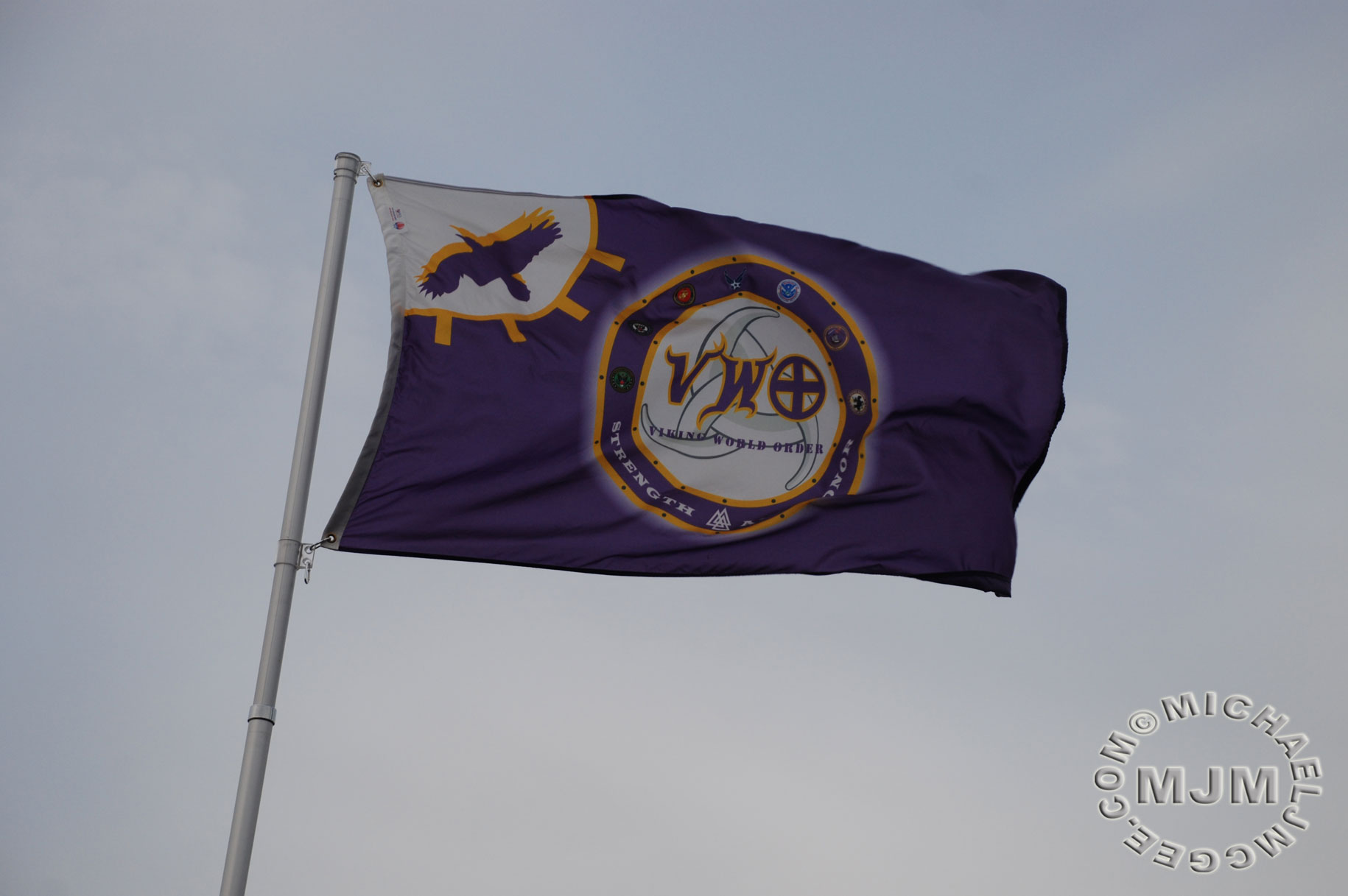Jets @ Vikings 12/7/2014 / michaeljmcgee.com