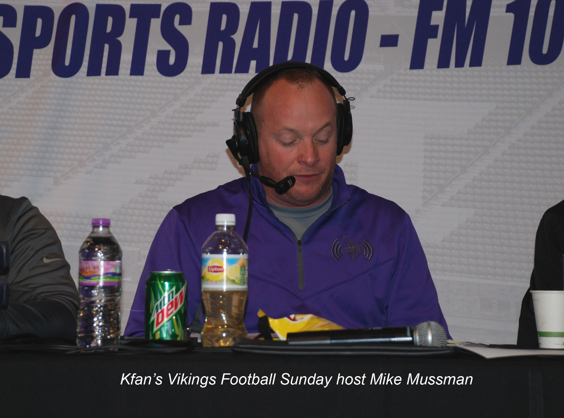 Jets @ Vikings 12/7/2014 / michaeljmcgee.com
