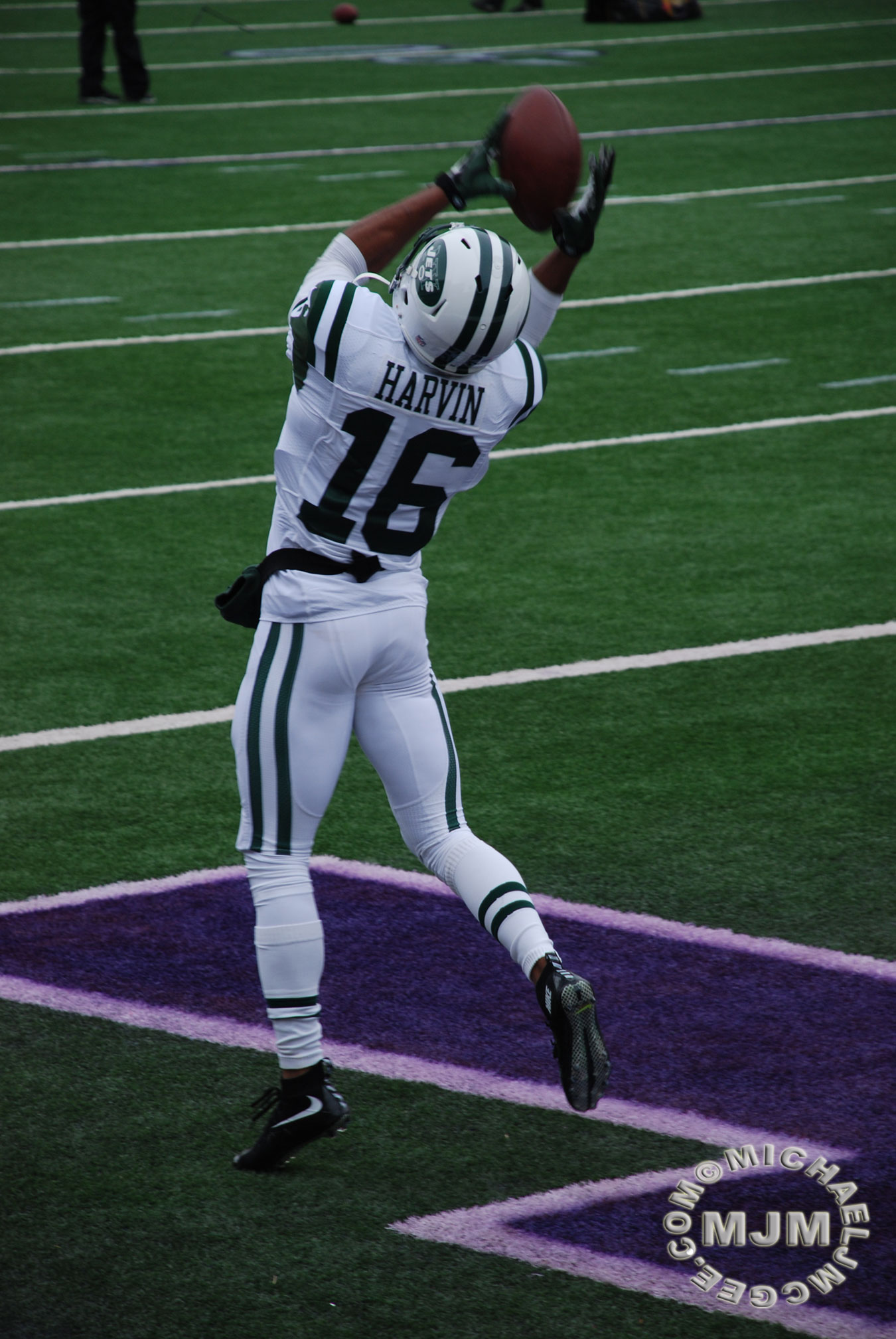Jets @ Vikings 12/7/2014 / michaeljmcgee.com