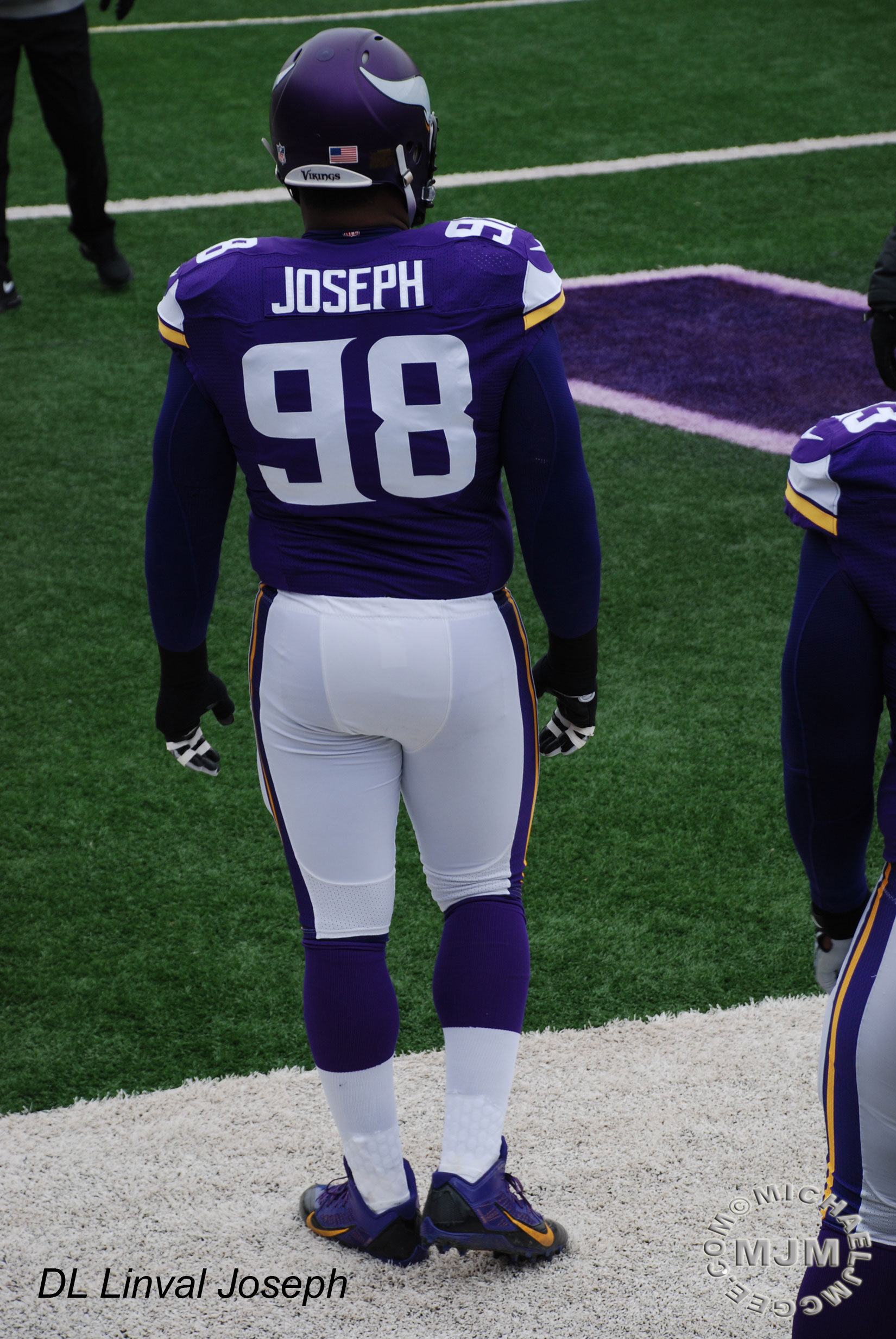 Jets @ Vikings 12/7/2014 / michaeljmcgee.com