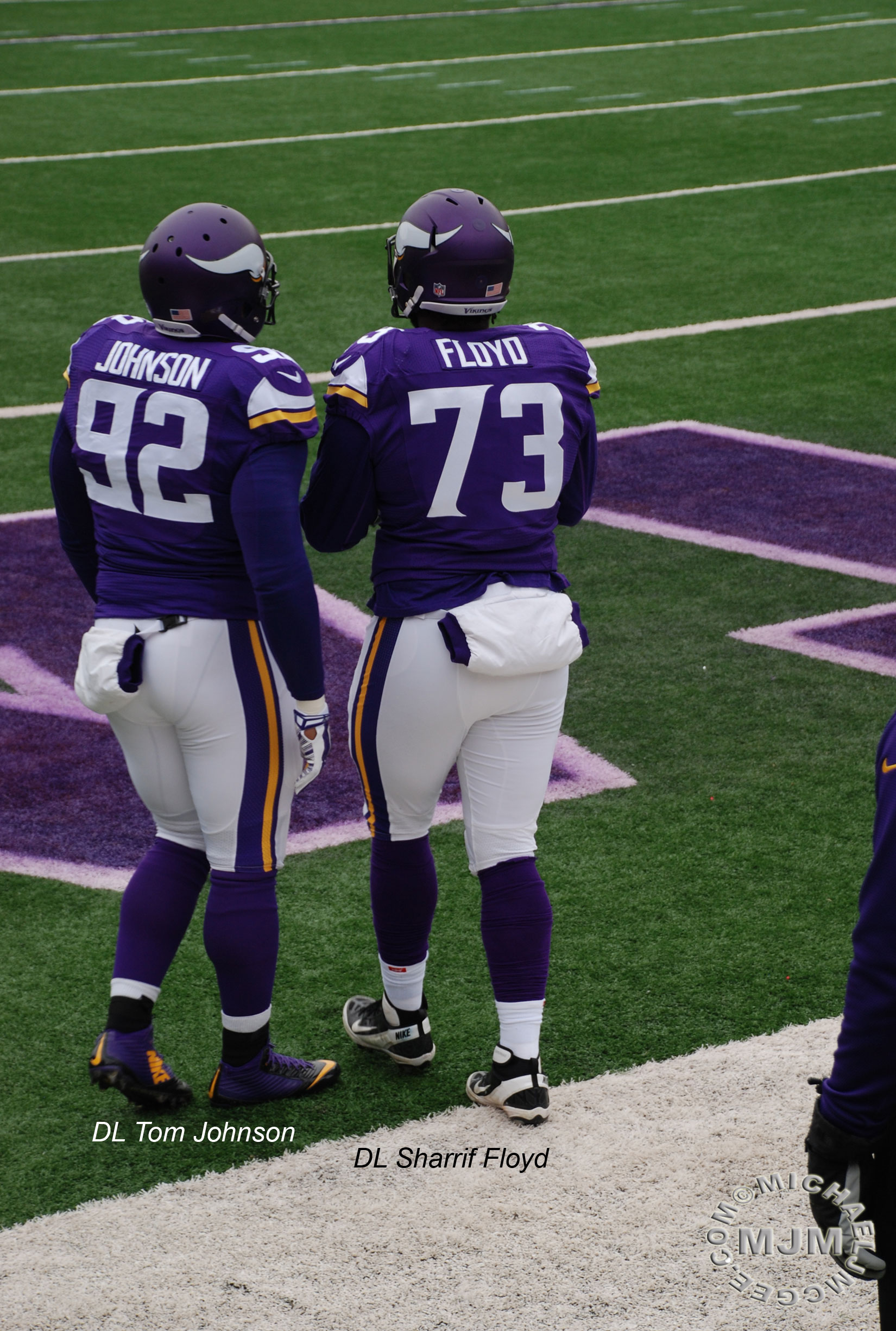Jets @ Vikings 12/7/2014 / michaeljmcgee.com