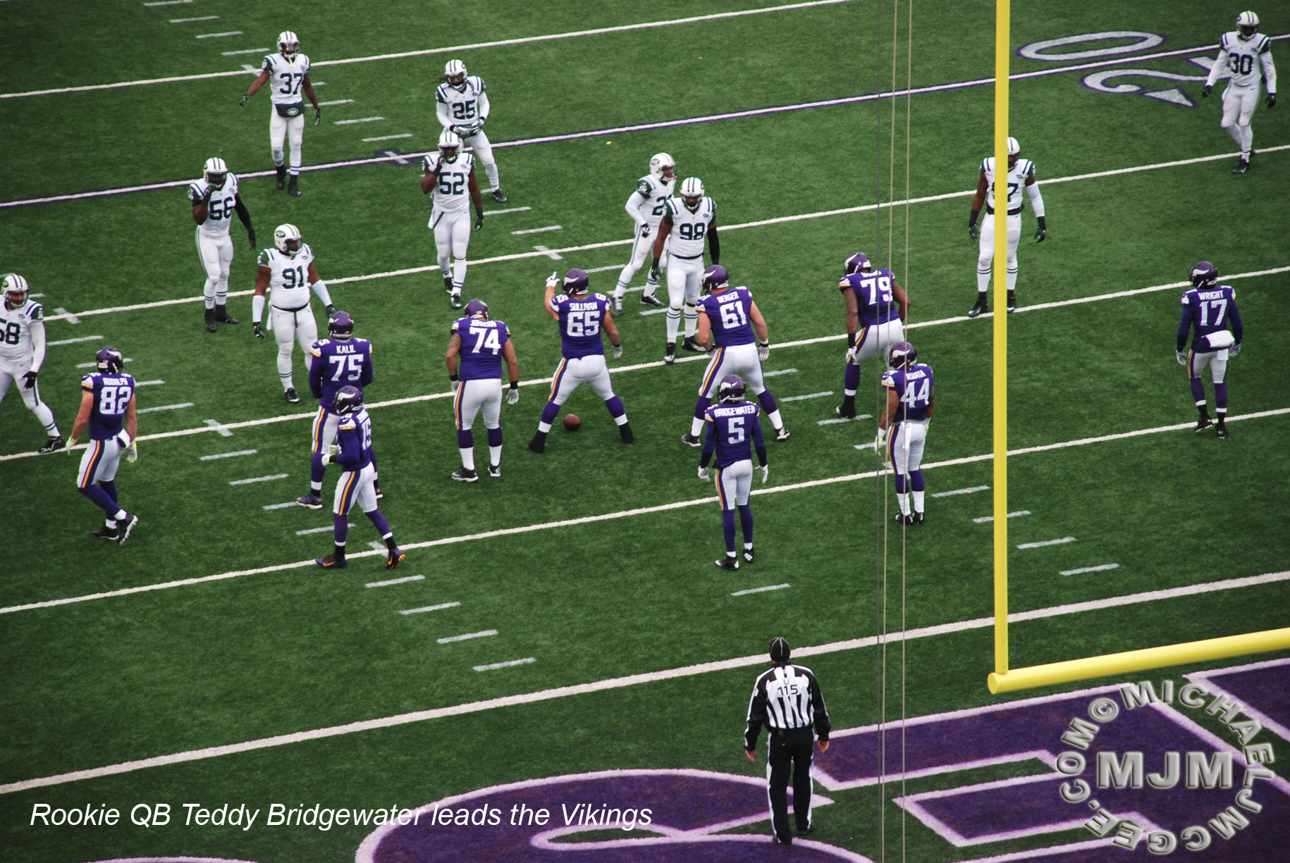 Jets @ Vikings 12/7/2014 / michaeljmcgee.com