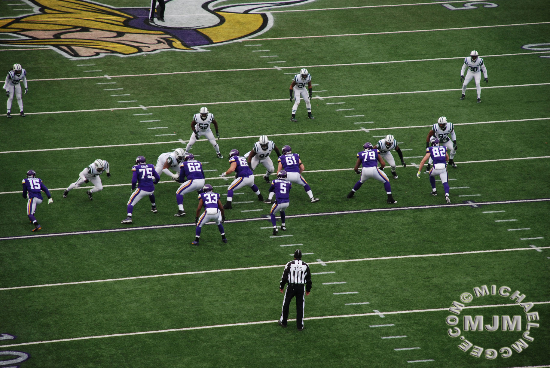 Jets @ Vikings 12/7/2014 / michaeljmcgee.com