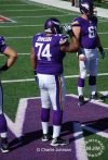 Patriots @ Vikings 9/14/2014 - michaeljmcgee.com