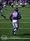 Patriots @ Vikings 9/14/2014 - michaeljmcgee.com