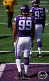 Patriots @ Vikings 9/14/2014 - michaeljmcgee.com