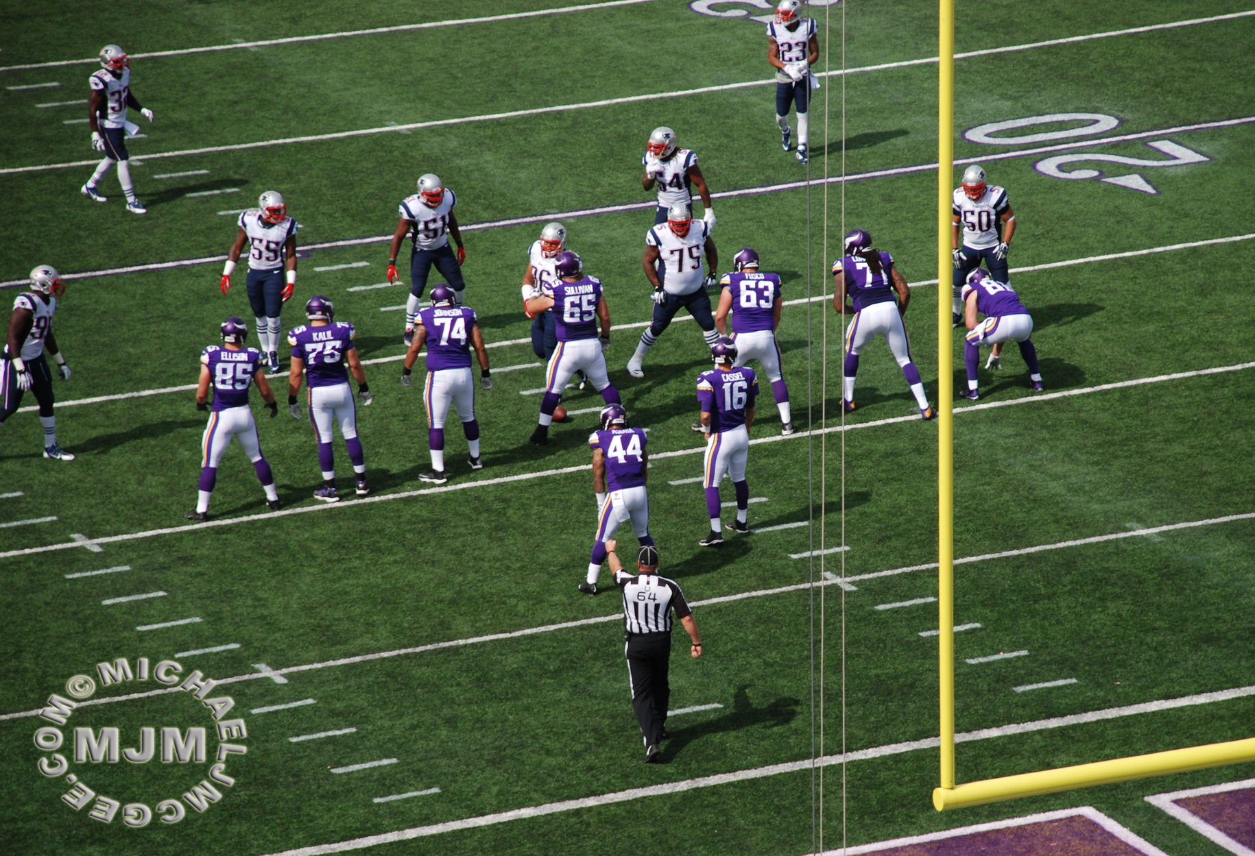Patriots @ Vikings 9/14/2014 - michaeljmcgee.com