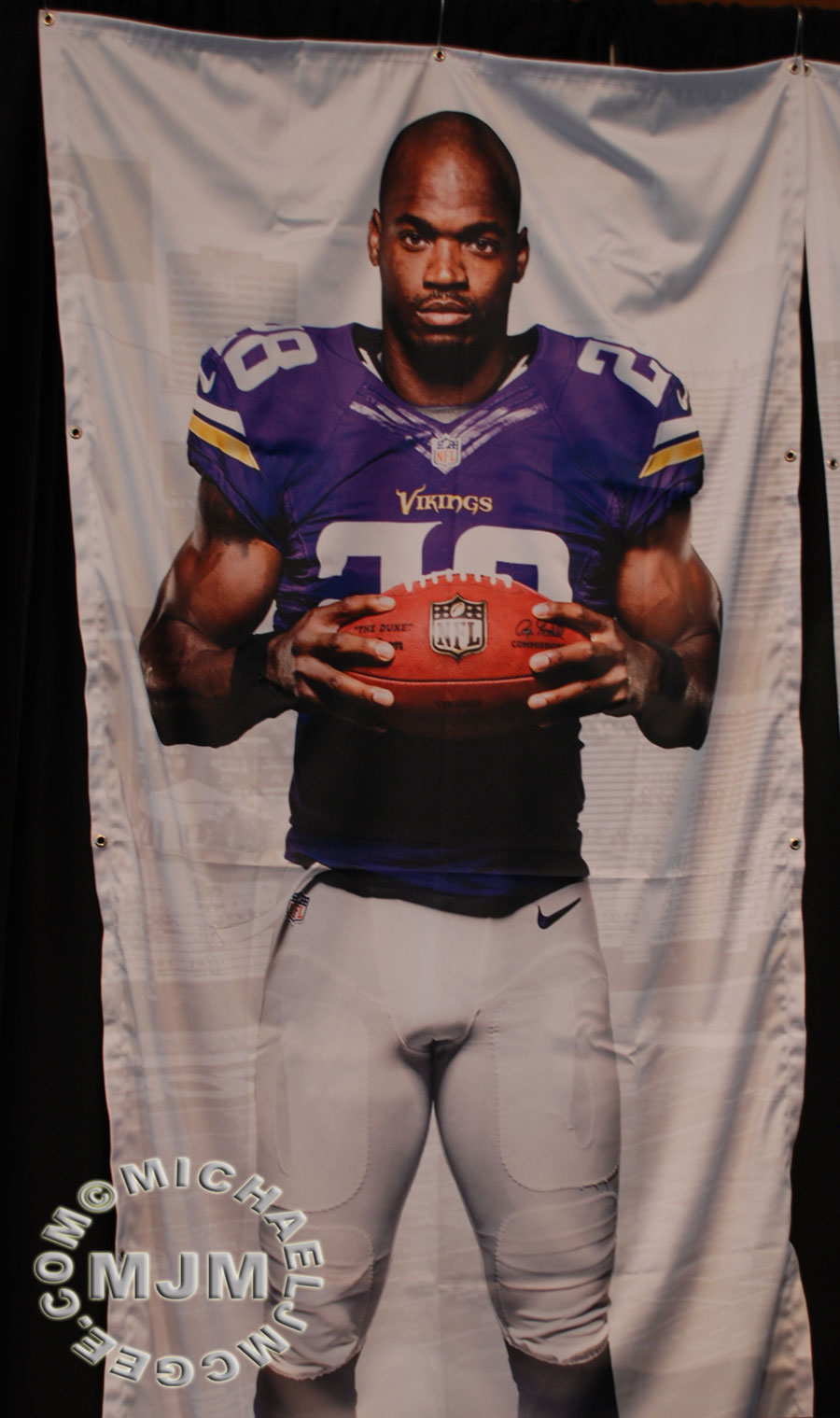 Patriots @ Vikings 9/14/2014 - michaeljmcgee.com