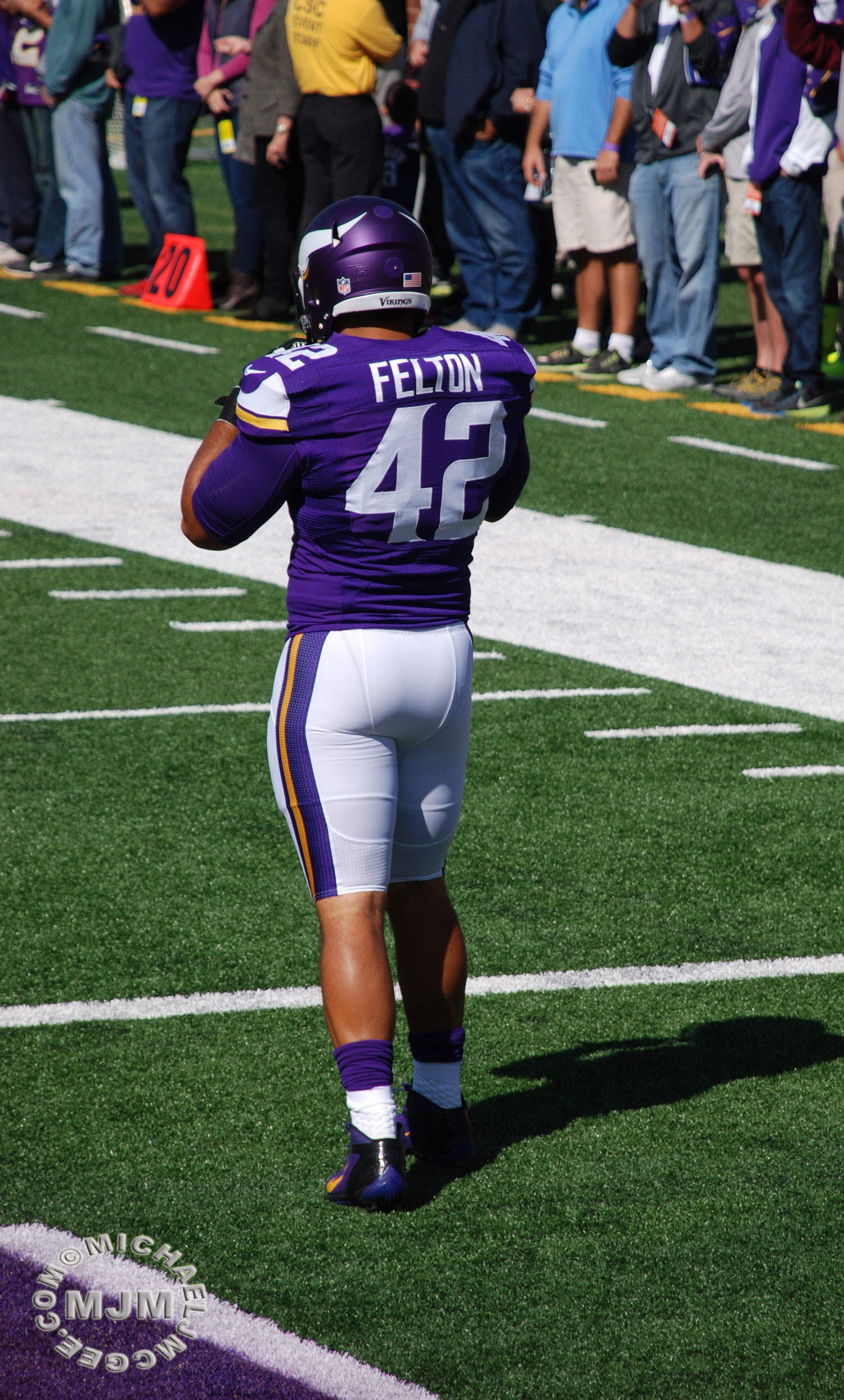 Patriots @ Vikings 9/14/2014 - michaeljmcgee.com