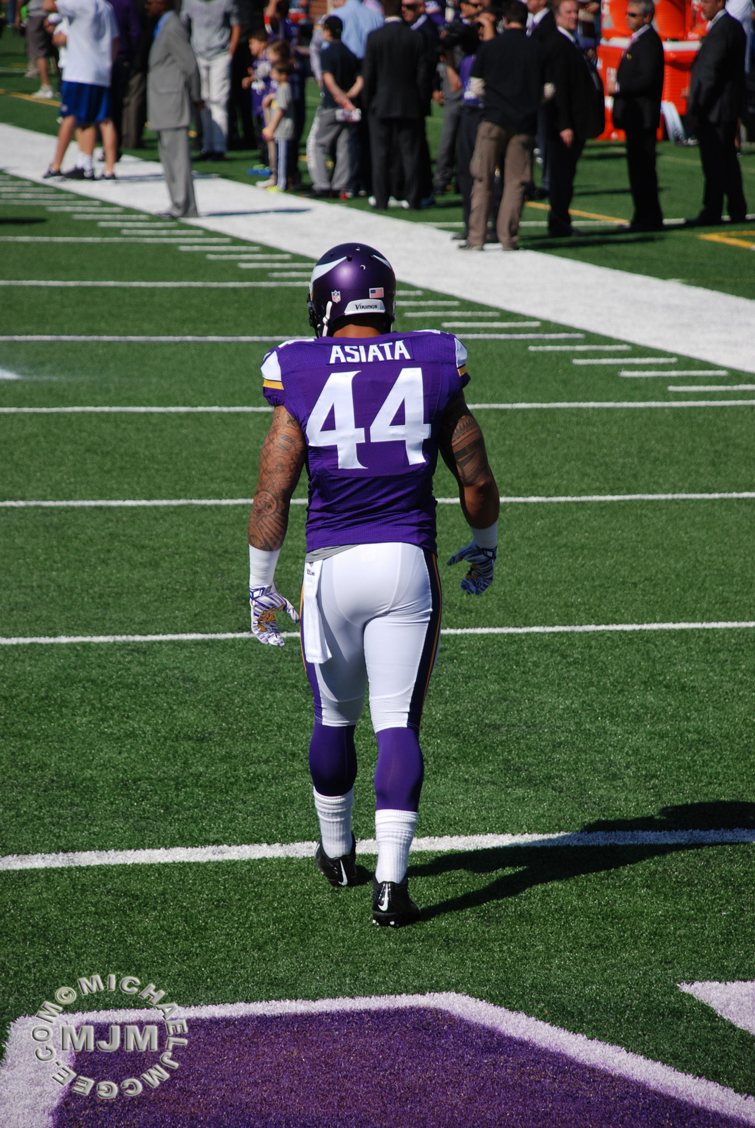 Patriots @ Vikings 9/14/2014 - michaeljmcgee.com