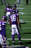 Patriots @ Vikings 9/14/2014 - michaeljmcgee.com