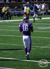 Patriots @ Vikings 9/14/2014 - michaeljmcgee.com