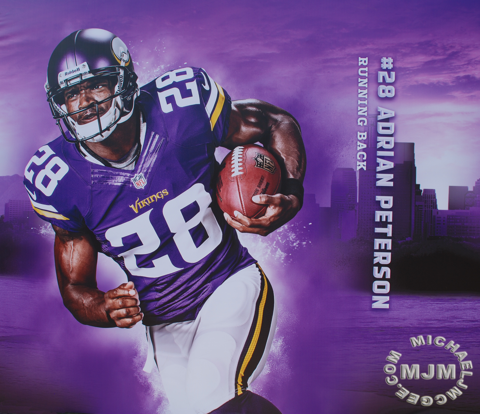 Steelers @ Vikings 9/29/2013 / michaeljmcgee.com