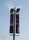 Steelers @ Vikings 9/29/2013 / michaeljmcgee.com