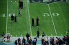 Steelers @ Vikings 9/29/2013 / michaeljmcgee.com