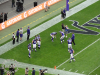 Steelers @ Vikings 9/29/2013 / michaeljmcgee.com