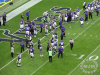 Steelers @ Vikings 9/29/2013 / michaeljmcgee.com